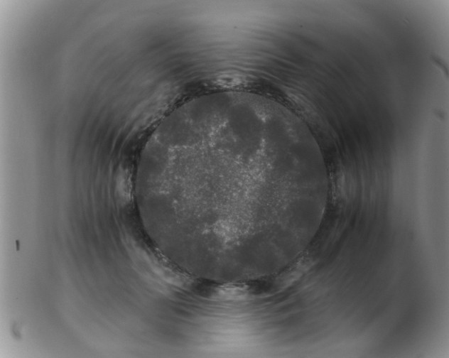 X0000103310606200809122053