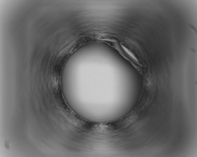 X0000103310607200809122053