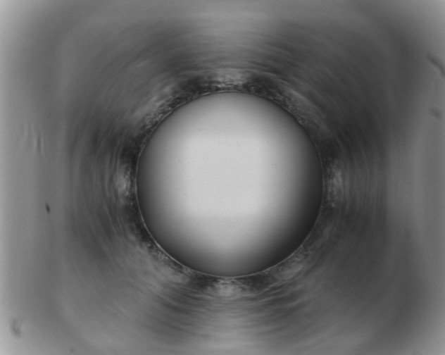 X0000103310608200809122053