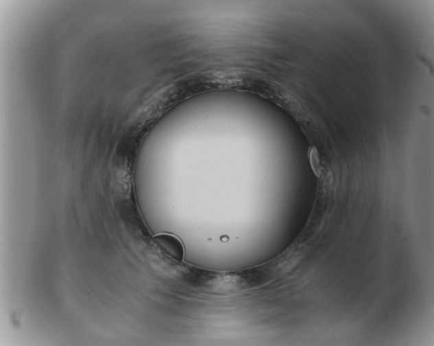 X0000103310609200809122053