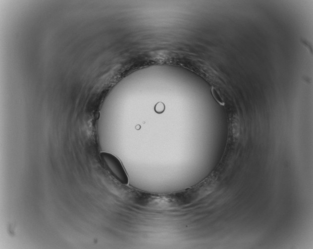 X0000103310611200809122053