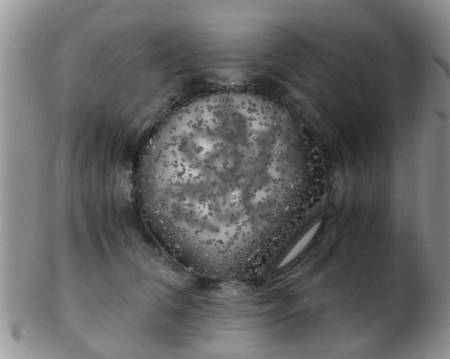 X0000103310612200809122053