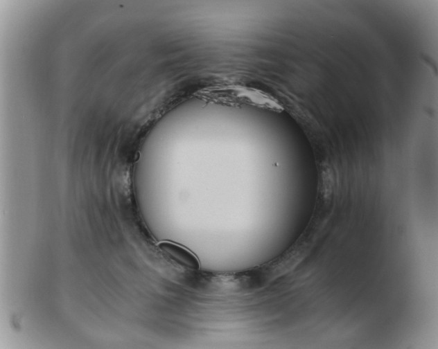 X0000103310613200809122053
