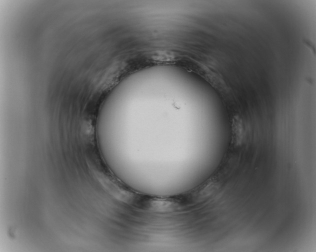 X0000103310614200809122053