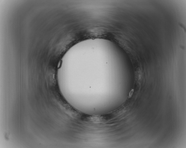 X0000103310615200809122053