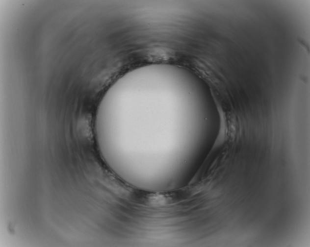 X0000103310616200809122053