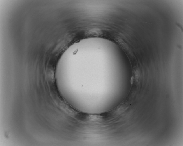 X0000103310617200809122053