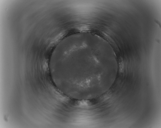 X0000103310618200809122053