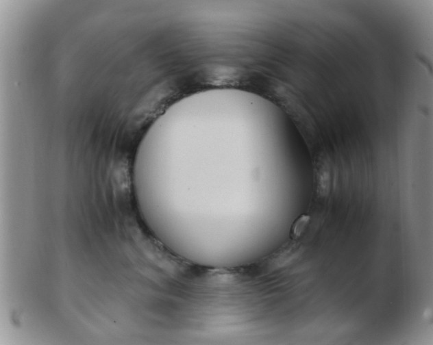 X0000103310620200809122053