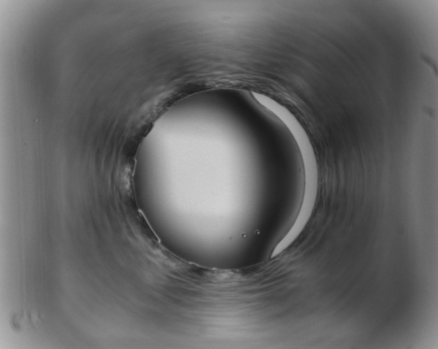 X0000103310621200809122053