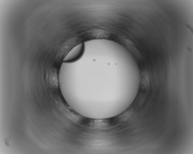X0000103310622200809122053