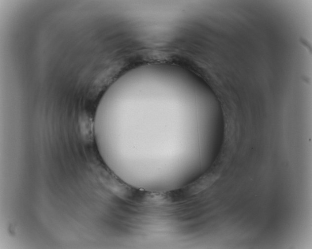 X0000103310624200809122053