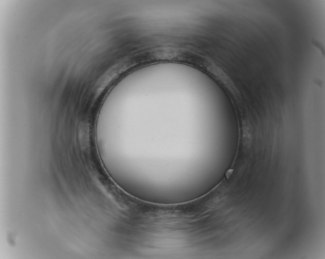 X0000103310626200809122052