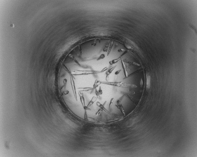 X0000103310627200809122052