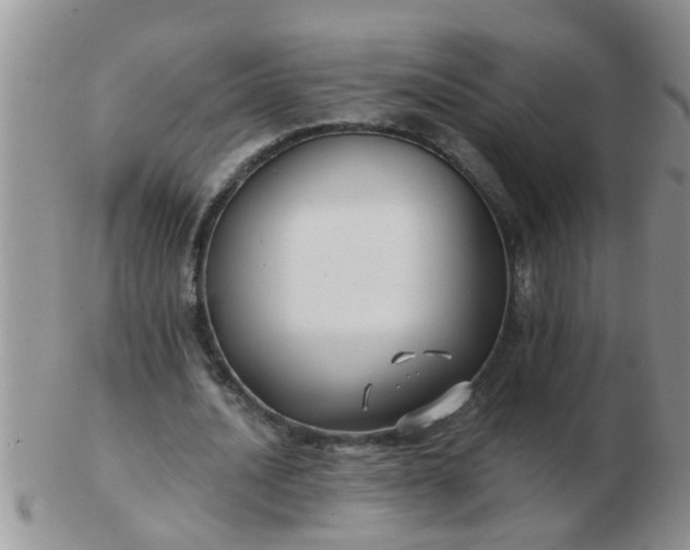 X0000103310628200809122052