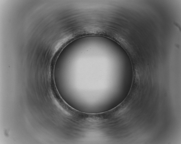 X0000103310630200809122052