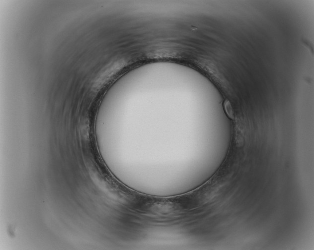 X0000103310631200809122052