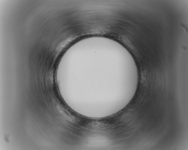 X0000103310632200809122052