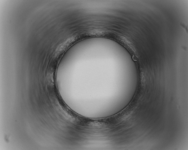X0000103310633200809122052