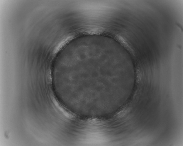 X0000103310634200809122052