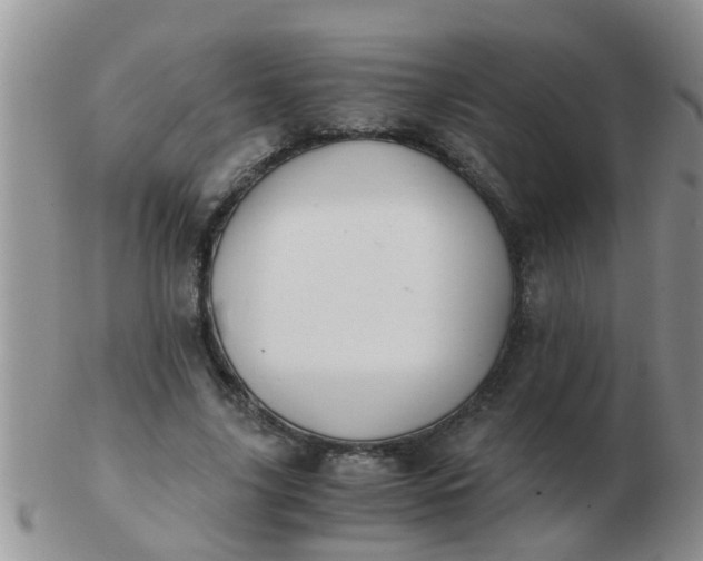 X0000103310635200809122052