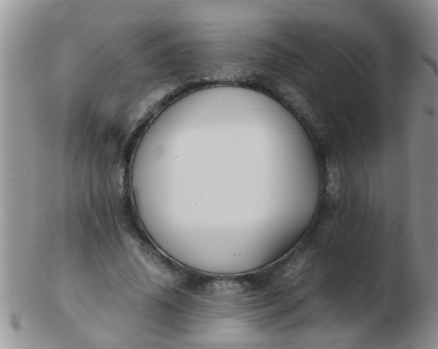 X0000103310636200809122052