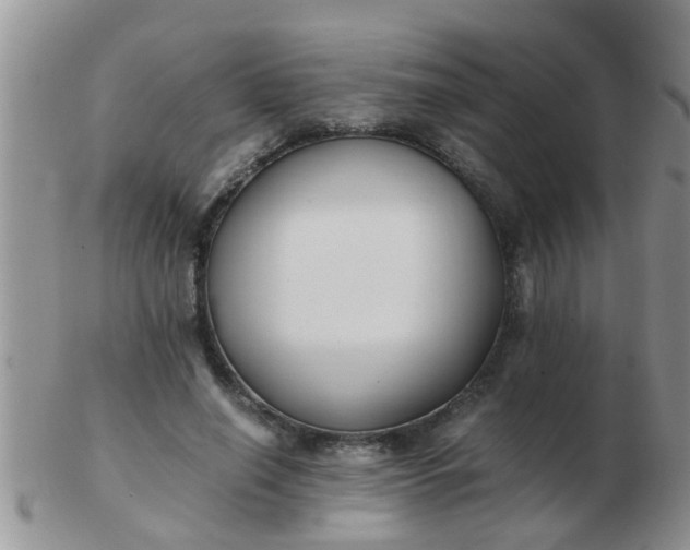 X0000103310638200809122052