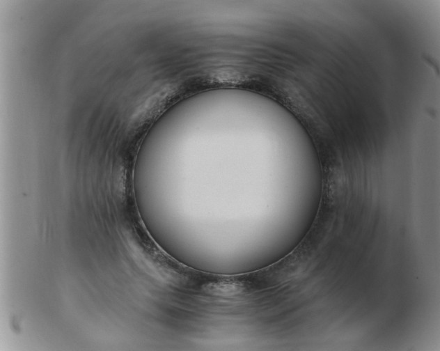 X0000103310639200809122052
