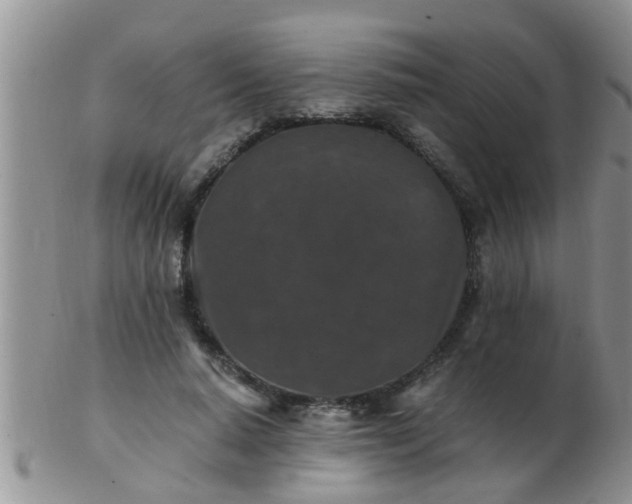 X0000103310640200809122052