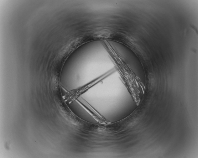 X0000103310641200809122052