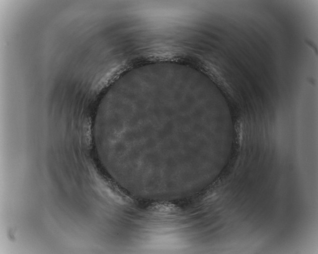 X0000103310642200809122052