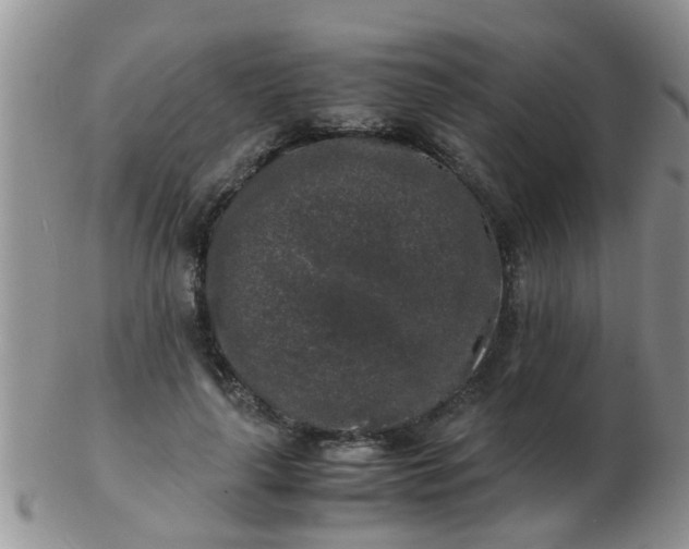 X0000103310643200809122052