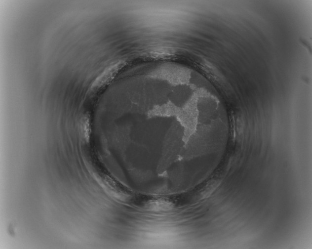 X0000103310644200809122052