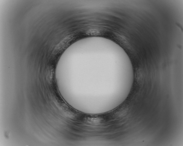 X0000103310645200809122052