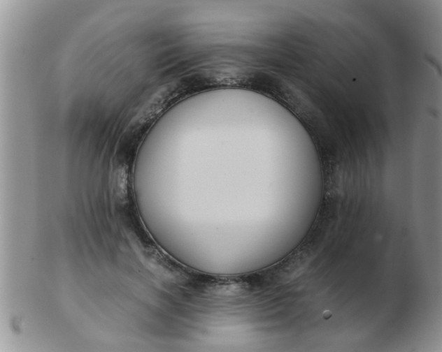 X0000103310646200809122052