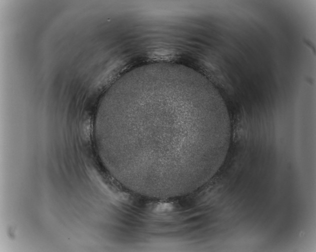 X0000103310647200809122052