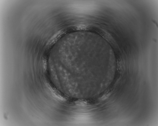 X0000103310648200809122052