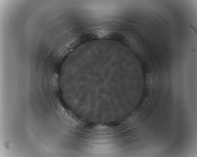X0000103310650200809122052