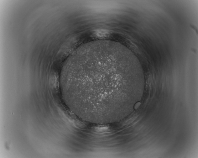 X0000103310651200809122053