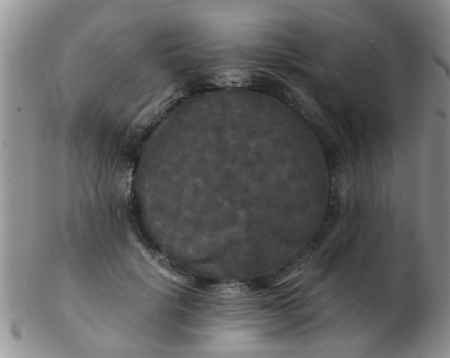 X0000103310652200809122053