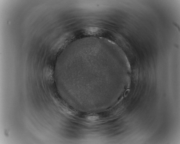 X0000103310653200809122053