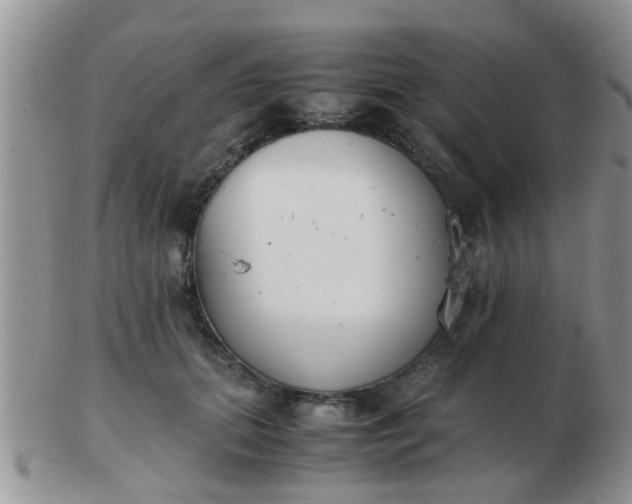 X0000103310655200809122053