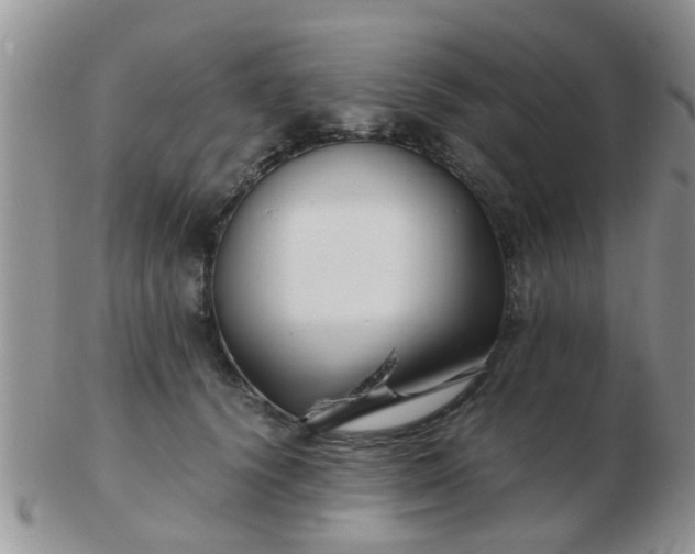 X0000103310656200809122053