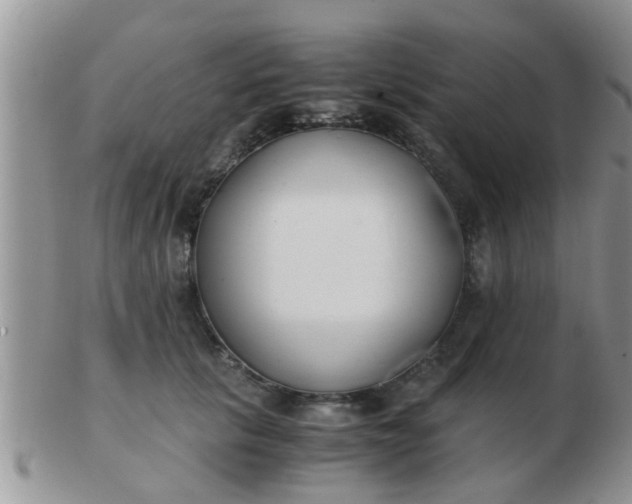 X0000103310657200809122053