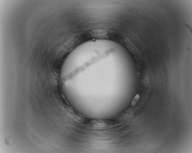 X0000103310658200809122053