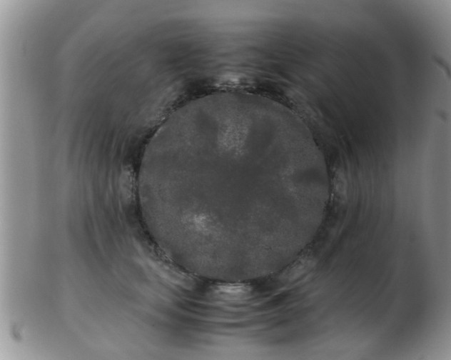 X0000103310659200809122053