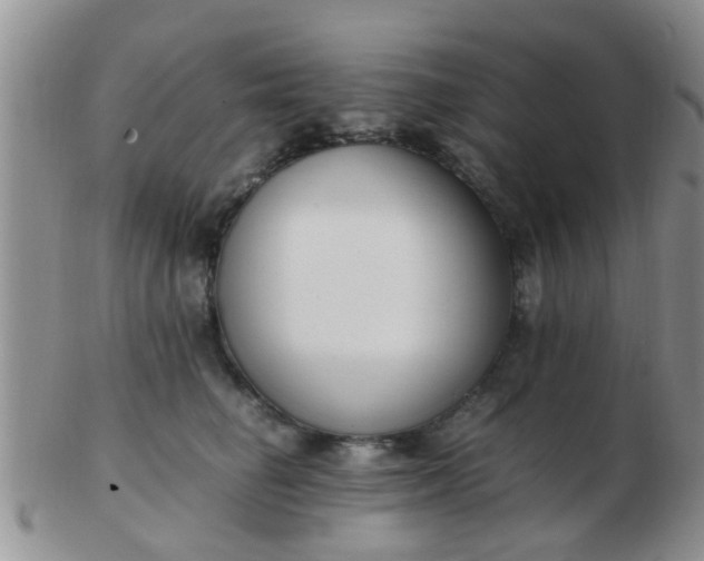 X0000103310662200809122053