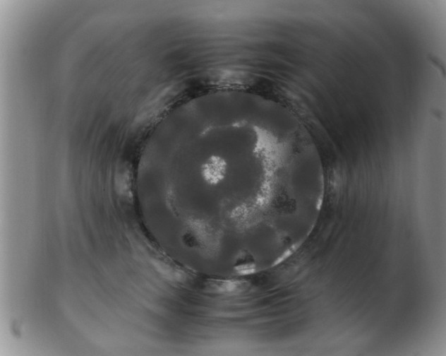 X0000103310663200809122053