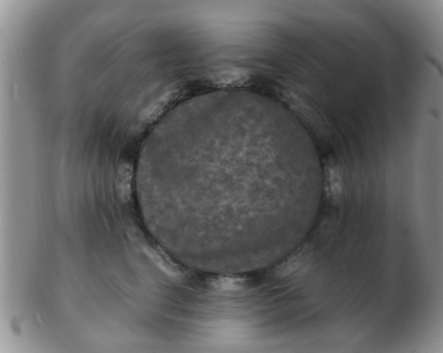 X0000103310664200809122053