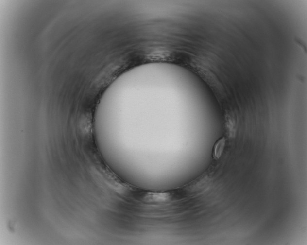 X0000103310665200809122053
